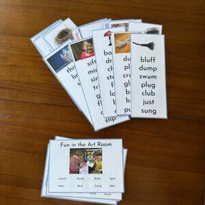 Montessori Language Blue Series By MindfulTeaching Educational Flashcards Set
